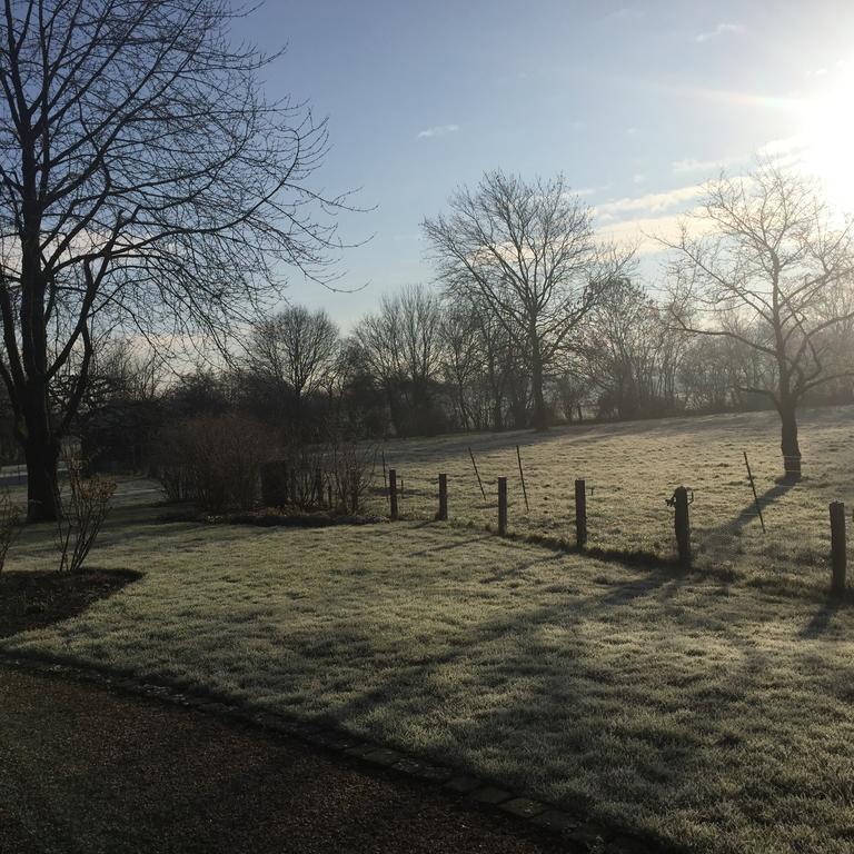 Villa Am Huelser Berg Naehe Duesseldorf Krefeld Esterno foto